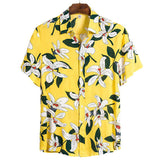 Lirio Oriental Limited