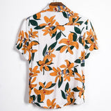 Lirio Asiático Limited